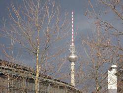 dscn0287.jpg